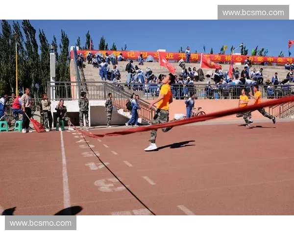 深入探索风暴英雄日语配音与角色文化魅力解析全方位呈现精彩篇